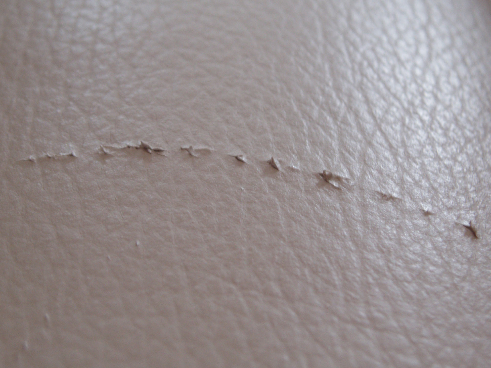 How to repair cat scratches on leather?