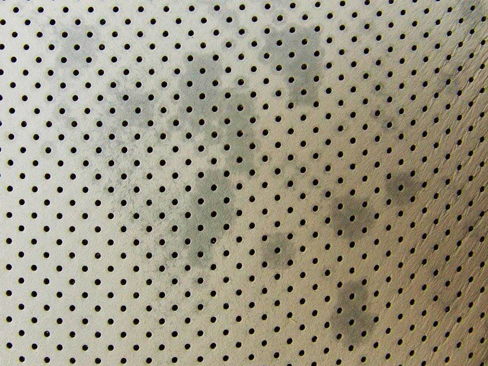 How to clean perforated leather car seats?